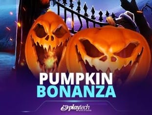Pumpkin Bonanza icon